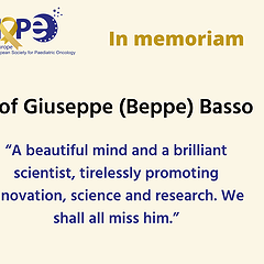 Tribute to Professor Giuseppe Basso