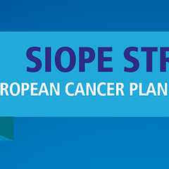 The SIOPE Strategic Plan