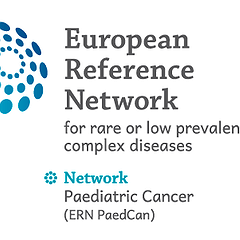 The European Reference Network on Paediatric Cancer (ERN PaedCan)