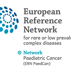 The European Reference Network on Paediatric Cancer (ERN PaedCan)